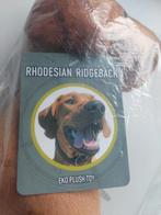 Rhodesian Ridgeback knuffel, Ophalen of Verzenden, Nieuw, Hond of Kat, Beeldje of Figuurtje