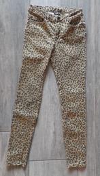 Tijgerprint broek maat 36, Bruin, Yessica, Ophalen of Verzenden, Zo goed als nieuw