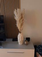 Pluimen, Ophalen of Verzenden, Nieuw