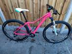 Cube WLS Access Pro 17", Gebruikt, Hardtail, Dames, Ophalen