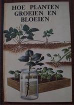 Hoe planten groeien en bloeien Globe-reeks - Newing & Bowood, Boeken, F. Newing & R. Bowood, Ophalen of Verzenden, Zo goed als nieuw