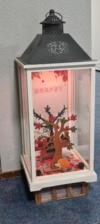 SHOW KAST, Huis en Inrichting, Kasten | Vitrinekasten, Ophalen, Overige materialen, Minder dan 50 cm, Zo goed als nieuw