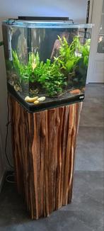 Dennerle Aquarium, Ophalen of Verzenden, Leeg aquarium