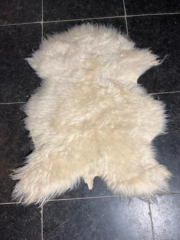 Witte Schapenvacht - Nederlandse kwaliteit beschikbaar voor biedingen