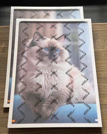 Set van 2 fotolijsten 50x70 cm - wit hout, nieuw beschikbaar voor biedingen