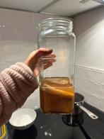 Scoby voor kombucha, Diversen, Ophalen of Verzenden