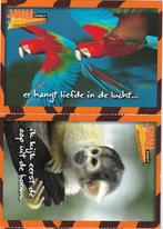 Dierentuin-maand Juni 2007 -mooie leporello van 4 kaarten., Verzamelen, Ansichtkaarten | Themakaarten, Verzenden, 1980 tot heden