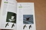 ANWB veldgids. Vogels. Ned. en omringende landen., Ophalen of Verzenden, Gelezen, Vogels