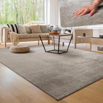 💖️️ ACTIE TRENDY SUPERZACHT VLOERKLEED GRIJS 240X340 CM beschikbaar voor biedingen
