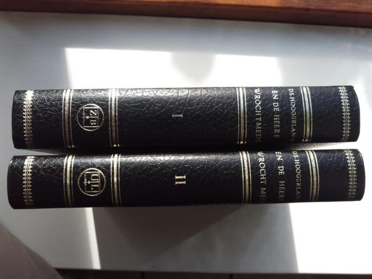 En de Heere wrocht mede (2 dln.) - ds. A. Hoogerland, Boeken, Godsdienst en Theologie, Zo goed als nieuw, Christendom | Protestants