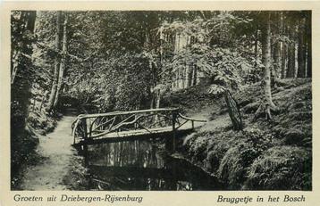 (388-359-053) Driebergen-Rijsenburg Bruggetje in het Bosch beschikbaar voor biedingen