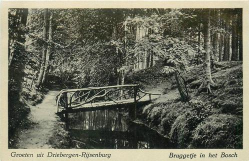 (388-359-053) Driebergen-Rijsenburg Bruggetje in het Bosch, Verzamelen, Ansichtkaarten | Nederland, Utrecht, Verzenden