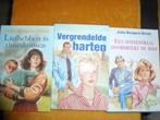 Julia Burgers-Drost - Trilogie, Ophalen of Verzenden, Gelezen, Julia Burgers-Drost, Nederland
