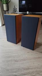 Bowers & Wilkins (B&W) DM14 in prachtstaat!, Audio, Tv en Foto, Luidsprekers, Ophalen, Zo goed als nieuw, Bowers & Wilkins (B&W)