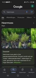 Oplossing heermoes zevenblad, Ophalen, Zo goed als nieuw, Beton, Overige typen