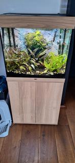 Juwel Lido 120 met kast, Ophalen, Gevuld zoetwateraquarium