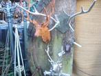 Tuinscherm hert Muurdecoratie trellis hek ornament "Evenaar", Ophalen, Nieuw