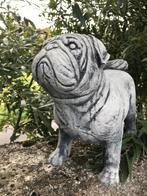 Mopshond Mops 20kg 45cm Keizer Hond Mopshond Carlin Carlino, Ophalen, Nieuw, Beton, Dierenbeeld