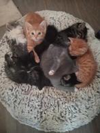 Wij zijn nu 7 weken over 5  weken mogen wij verhuizen