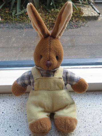 Konijn of konijntje in geruite blouse en rib tuinbroek Hema beschikbaar voor biedingen