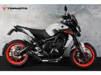 Yamaha MT 09 ABS (bj 2019), Motorrijbewijs A, Bedrijf, Meer dan 35 kW, YAMAHA