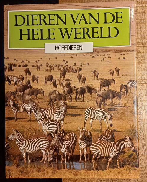 Boek: "Dieren van de hele wereld. Hoefdieren!", Boeken, Dieren en Huisdieren, Gelezen, Ophalen of Verzenden
