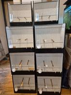 Universele TT kooien €7,- p/st, Ophalen, Zo goed als nieuw, Hout, Vogelkooi