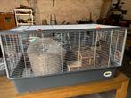 Hamster of konijn hok, Dieren en Toebehoren, Hamster, Zo goed als nieuw, Hok, 75 tot 110 cm