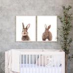 Babykamer 2 lijsten met konijnenposter, Ophalen of Verzenden, Zo goed als nieuw