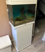 Ciano aquarium lamp is defect, Dieren en Toebehoren, Vissen | Aquaria en Toebehoren, Ophalen, Gebruikt, Verlichting of Verwarming