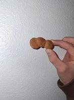 Driedubbele kruidnoot, Verzamelen, Ophalen, Nieuw