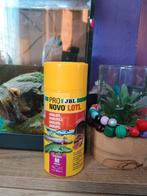 2 axelotl met aquarium., Vis