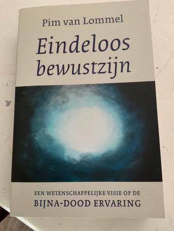 Pim van Lommel - Eindeloos bewustzijn beschikbaar voor biedingen