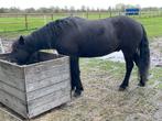 89 tweedehands paddockplaten/modderplaten, prima staat, Dieren en Toebehoren, Stalling en Weidegang, 1 paard of pony