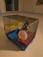 Hamsterkooi, Dieren en Toebehoren, Knaagdieren en Konijnen | Hokken en Kooien, Ophalen, Minder dan 75 cm, Kooi, Minder dan 60 cm