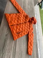 Oranje gewatteerde jas, Ophalen of Verzenden, Zo goed als nieuw, Oranje