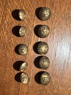 16th Queen's Lancers (Crown Over QL Over 16)Knopen Collectie, Ophalen of Verzenden, Gebruikt, Overige onderwerpen, Button