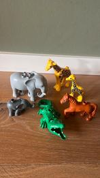 Speeldieren, Ophalen of Verzenden, Gebruikt, Duplo