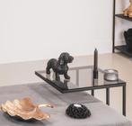 Nieuw beeld zwarte Teckel, Ophalen of Verzenden, Nieuw