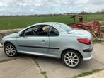 Peugeot 206 1.6 16V CC 2001 Grijs, Auto-onderdelen, Overige Auto-onderdelen, Gebruikt, Peugeot, Ophalen