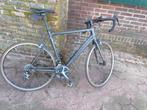 Canyon endurace dt swiss, Overige merken, Carbon, Ophalen of Verzenden, 57 tot 61 cm
