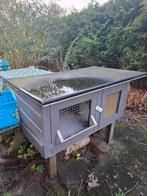 Konijnenhok, Ophalen, Gebruikt, 90 cm of meer, Konijn