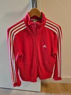 Adidas sweatvest: 4x stuks, maat 40, Overige kleuren, Adidas, Gedragen, Ophalen