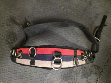 Longeersingel Imperial Riding Rood, blauw Cob beschikbaar voor biedingen