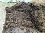 paardenmest compost moestuin - GRATIS, Ophalen, Compost