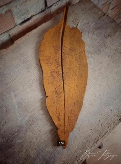handgemaakte Wandhanger Rusty LEAF, Antiek en Kunst, Kunst | Overige Kunst, Ophalen of Verzenden