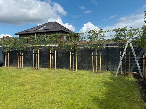 Leivorm geplaats all-in door heel Nederland, snelle service!, Tuin en Terras, Tuinhuizen, Zo goed als nieuw, Ophalen