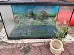 Aquarium+decoratie, Ophalen, Gebruikt, Leeg aquarium