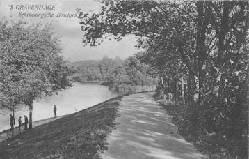 (701-140-007) Den Haag Scheveningsche Boschjes beschikbaar voor biedingen