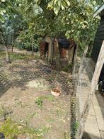 Gaas met oude palen ong. 20 meter gratis, Dieren en Toebehoren, Kip